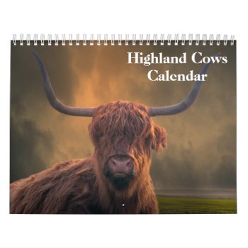 Highland Cows 2024 Calendar by sunbuds at Zazzle