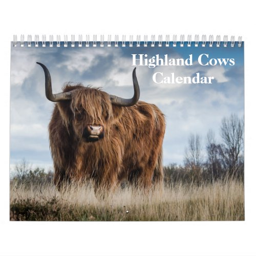 Highland Cows 2024 Calendar