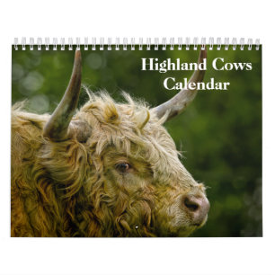 Highland Cows 2026 Calendar
