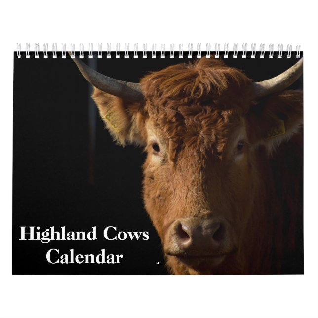 Highland Cows 2027 Calendar (Cover)