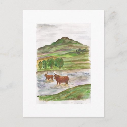 Highland Cows and Ruberslaw Postcard