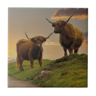 Highland Cows At Sunset Ceramic Tile