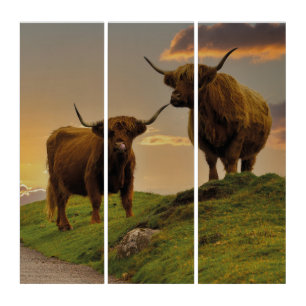 Highland Cows At Sunset Triptych