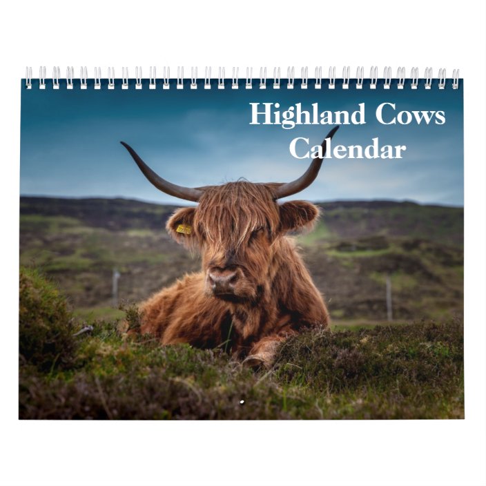 Highland Cows Calendar Zazzle