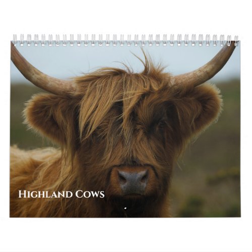 Highland Cows Calendar