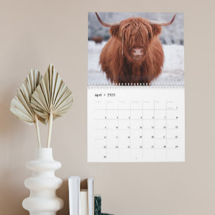 Highland Cows Farm Animal Scotland Any year Calendar