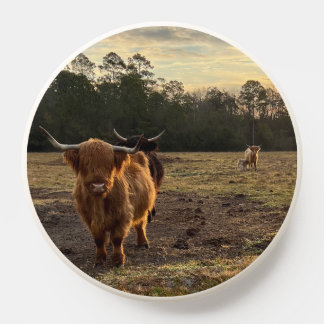 Highland Cows Farm Field Photo Landscape PopSocket