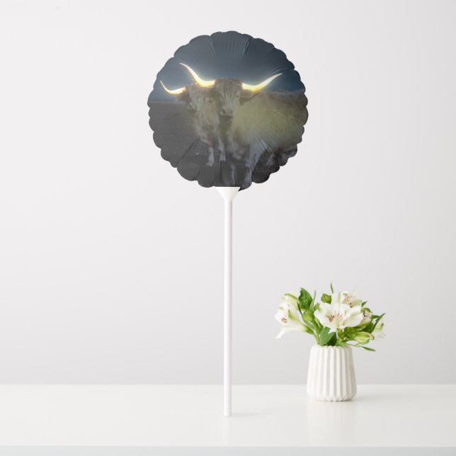 Highland Cows Glowing In The Dark, Air Balloon (In SItu)