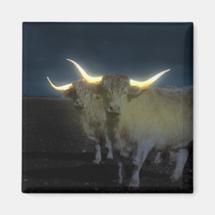 Highland Cows Glowing In The Dark, Fridge Magnet
