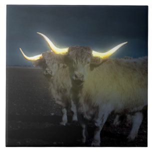 Highland Cows Glowing In The Dark, Lg Ceramic Tile