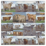 Highland Cows In A Photo Collage, Fabric
