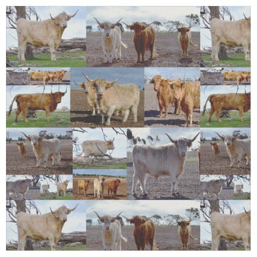 Highland Cows In A Photo Collage, Fabric