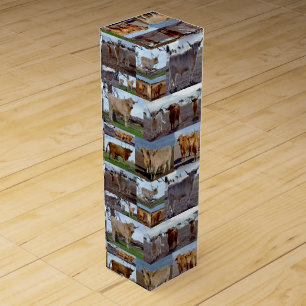 Highland Glory: A Photo Collage of Majestic Cows Wine Box
