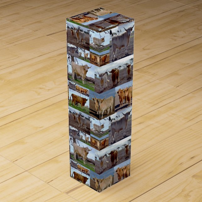 Highland Glory: A Photo Collage of Majestic Cows Wine Box (Front)