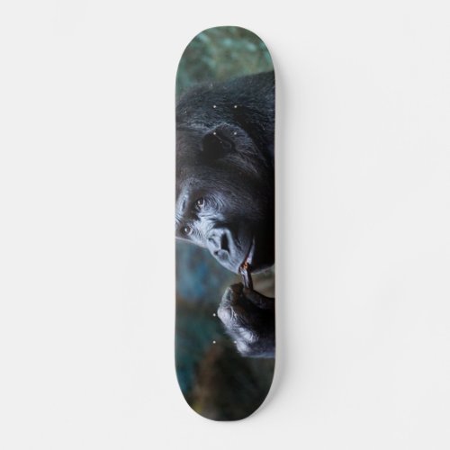 Highland Gorilla _ Picking Teeth Skateboard Deck