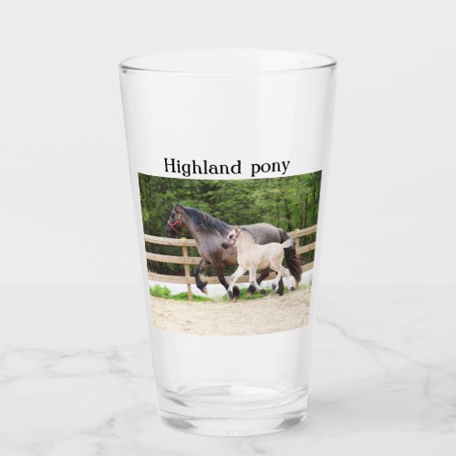 Highland pony glass