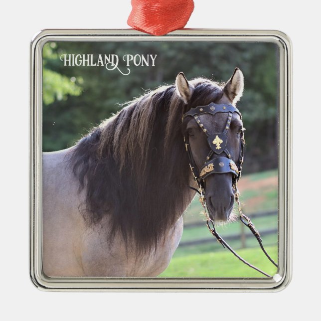 Highland Pony Ornament (Front)