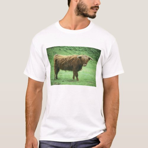 Highland Steer Island of Mull Inner T_Shirt