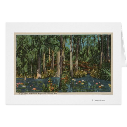 Highlands County, FL - View of Highlands Hammock Cards (Front Horizontal)