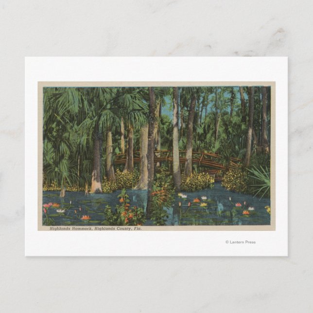 Highlands County, FL - View of Highlands Hammock Postcard (Front)