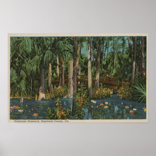 Highlands County, FL - View of Highlands Hammock Poster (Front)