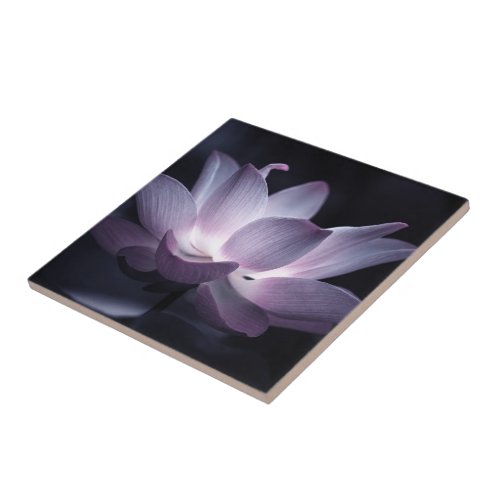 Highlighted Lotus flower decorative floral photo Ceramic Tile