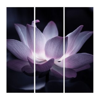 Highlighted Lotus flower, decorative floral photo Triptych