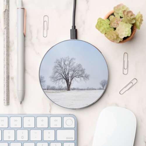 Highlighted Winter Oak Tree Wireless Charger
