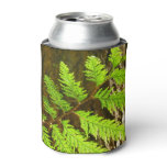 Highlights of a Redwood Tree Botanical Can Cooler