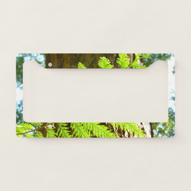 Highlights of a Redwood Tree Botanical License Plate Frame (Front)