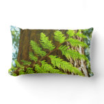 Highlights of a Redwood Tree Botanical Lumbar Pillow