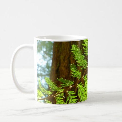 Highlights of a Redwood Tree Photo Coffee Mug