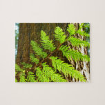 Highlights of a Redwood Tree Photo Jigsaw Puzzle