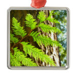 Highlights of a Redwood Tree Photo Metal Ornament