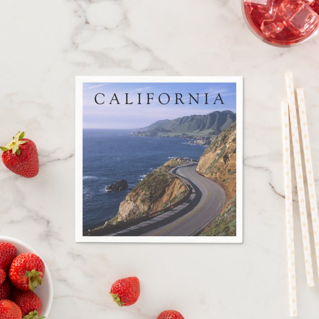 Highway 1 | Carmel California Napkins (Insitu)