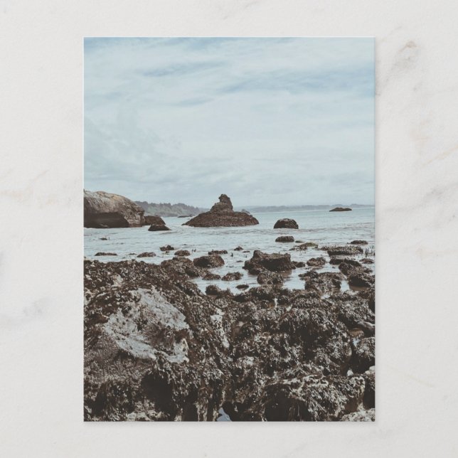 Highway 1  Rocky Beach  Postcard (Front)