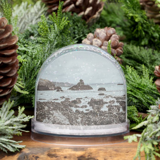 Highway 1 Rocky Beach Snow Globe