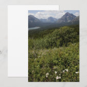 Highway 49 (Front/Back)