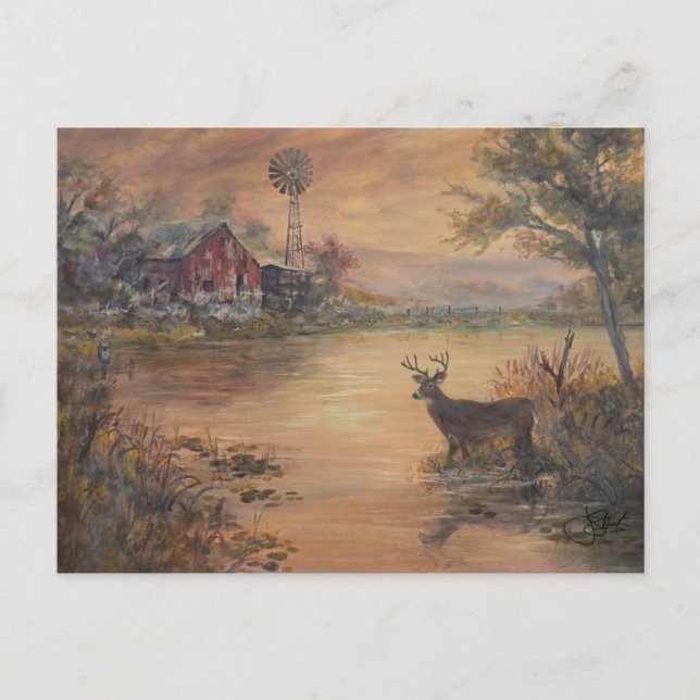 Highway Pond deer Postcard (Front)