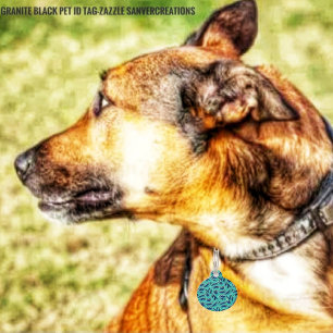 Highways   pet ID tag