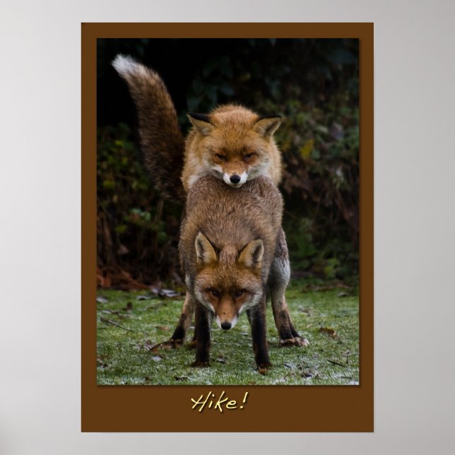 Hike! Poster (Front)