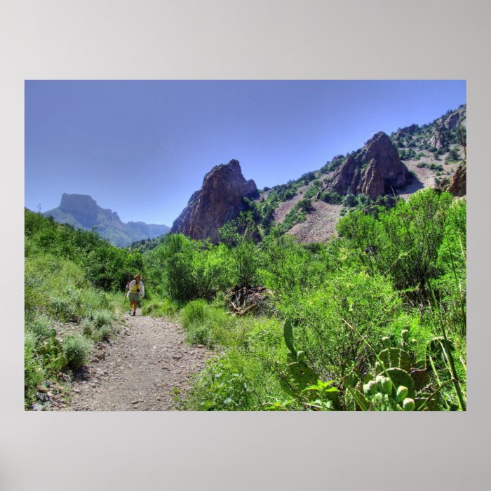 Hiking Big Bend National Park Poster