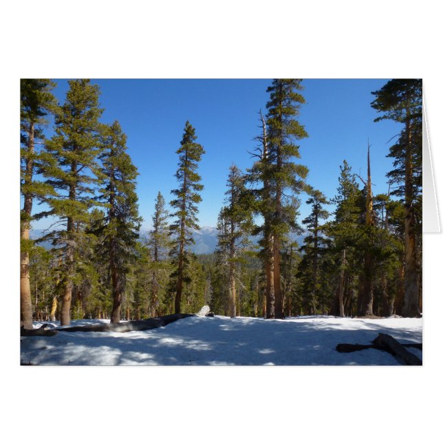Hiking Down from Mitchell Peak at Sequoia Cards (Front Horizontal)
