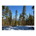 Hiking Down from Mitchell Peak at Sequoia Postcard