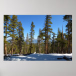 Hiking Down from Mitchell Peak at Sequoia Poster