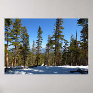 Hiking Down from Mitchell Peak at Sequoia Poster