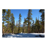 Hiking Down from Mitchell Peak at Sequoia Poster