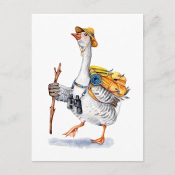 Hiking Goose With Backpack And Binoculars Postcard by GoosiStudio at Zazzle