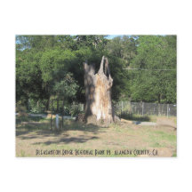 Hiking in Pleasanton, CA 6