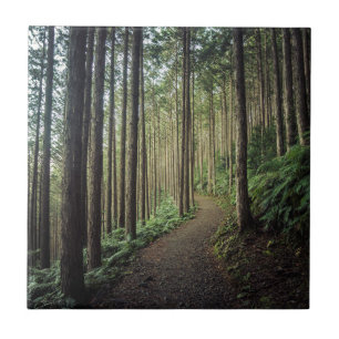 Hiking in the Mountains Wakayama, Japan Ceramic Tile